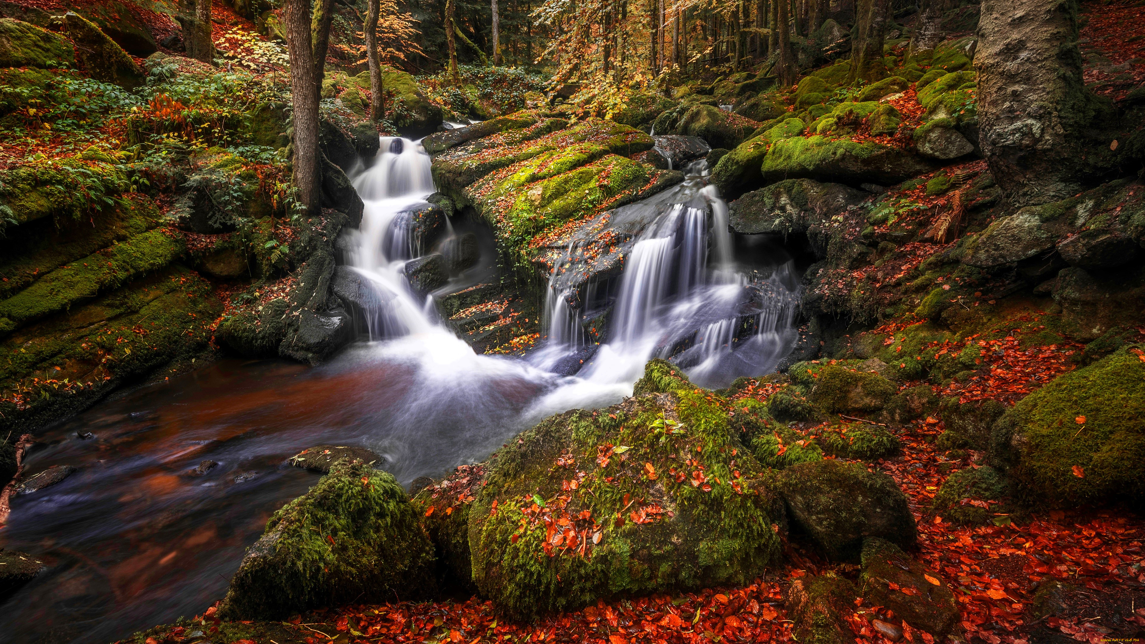 �������, ��������, ���, �������, ������, �����, �����, �����, ���